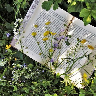Ein Buch liegt in einer Blumen-Wiese. 