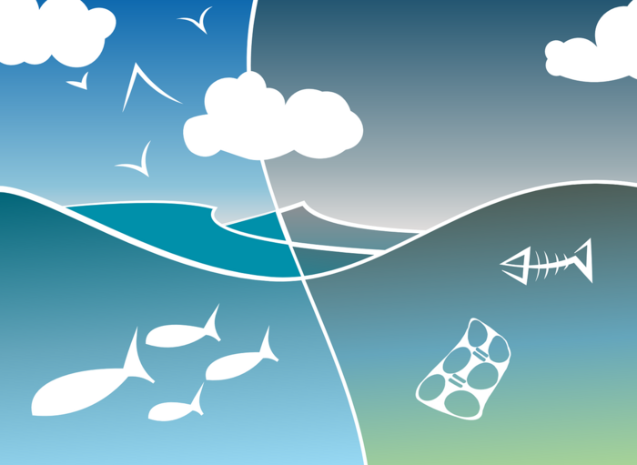 Graftik Meer - mit Fischen im Vergleich zu Meer mit Müll - Bild von pixabay.de/wildOne