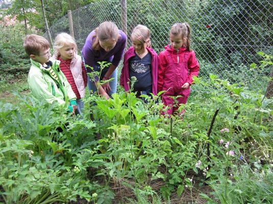 Kinder und die Kindergruppen-Betreuer*in begutachten das Gemüse-Beet. 