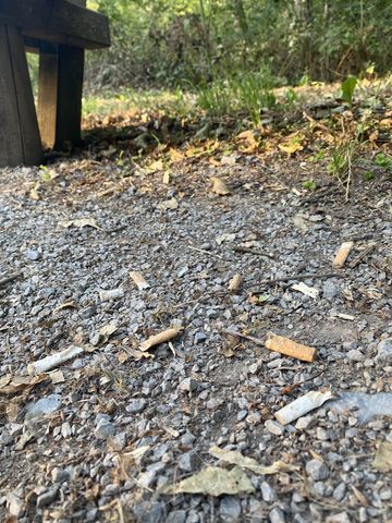 Zigarettenkippen im Wald