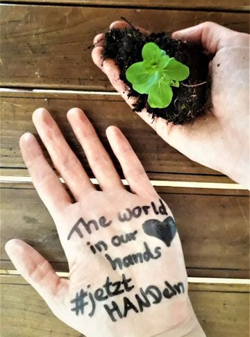 Zwei Hände sind zu sehen - die eine hält eine Pflanze mit Erde und in der anderen steht: The world in our hands - jetzt handeln