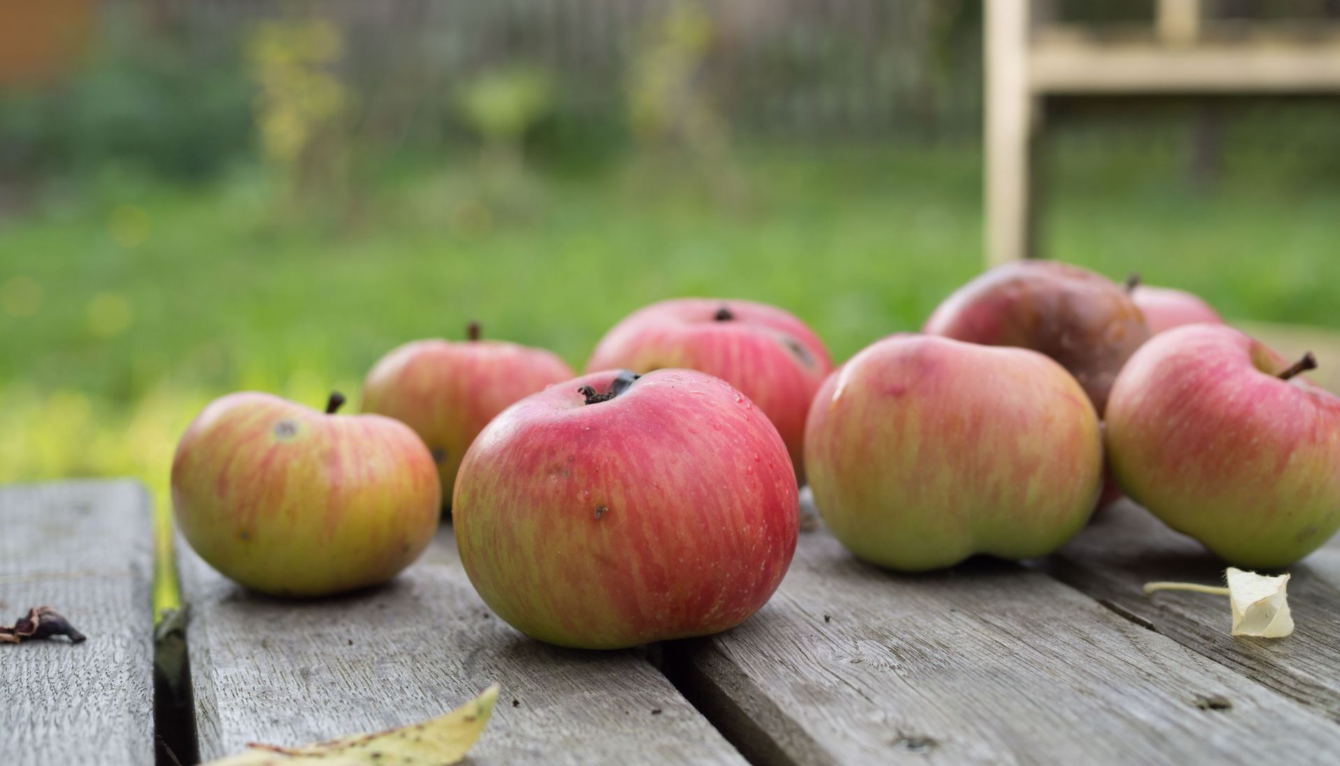 Äpfel liegen auf Holz-Balken, im Hintergrund eine Wiese