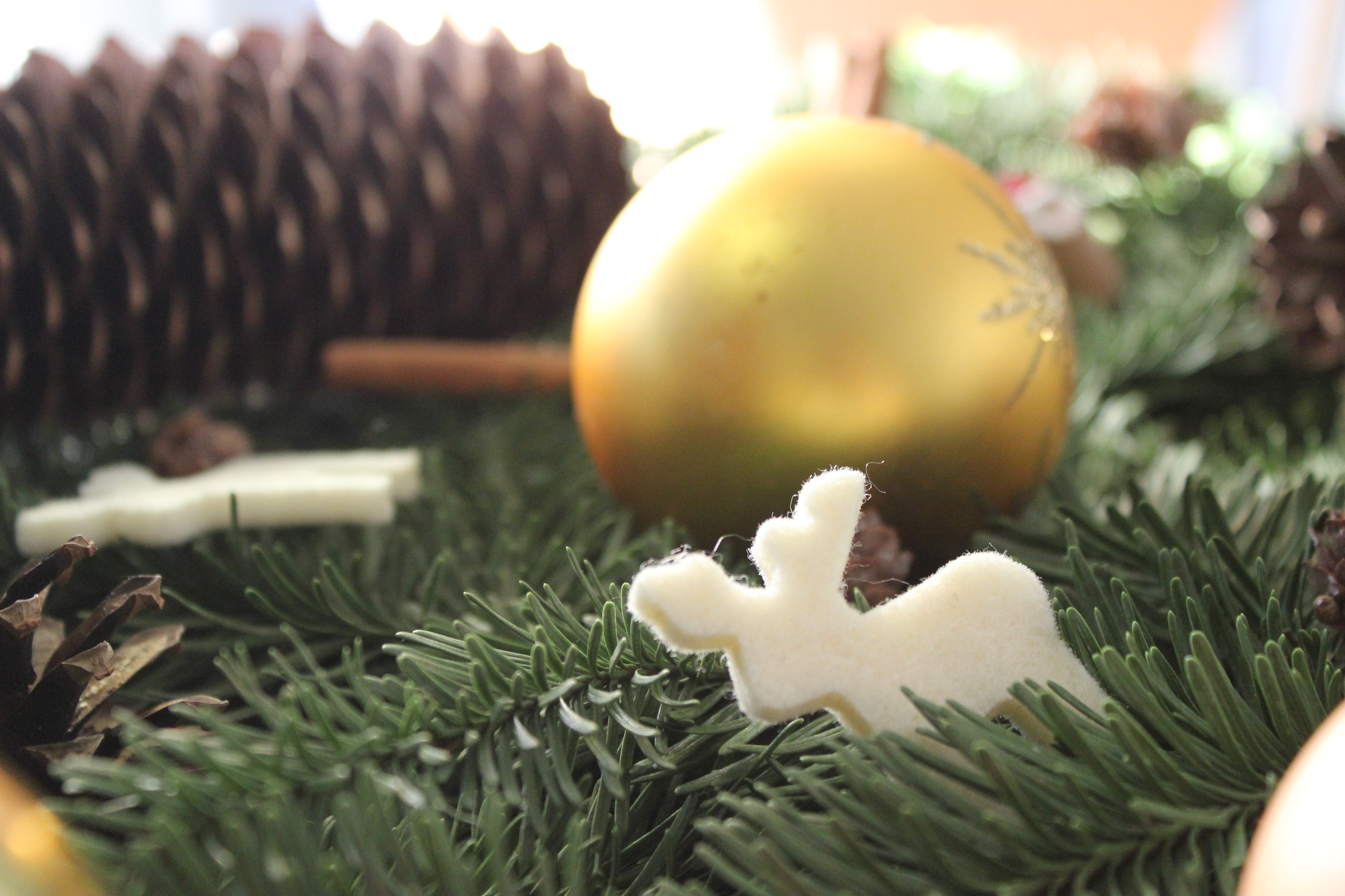 Weihnachtsbaum, Weihnachtsgeschenke, Plätzchen backen: Grüne Advents ...