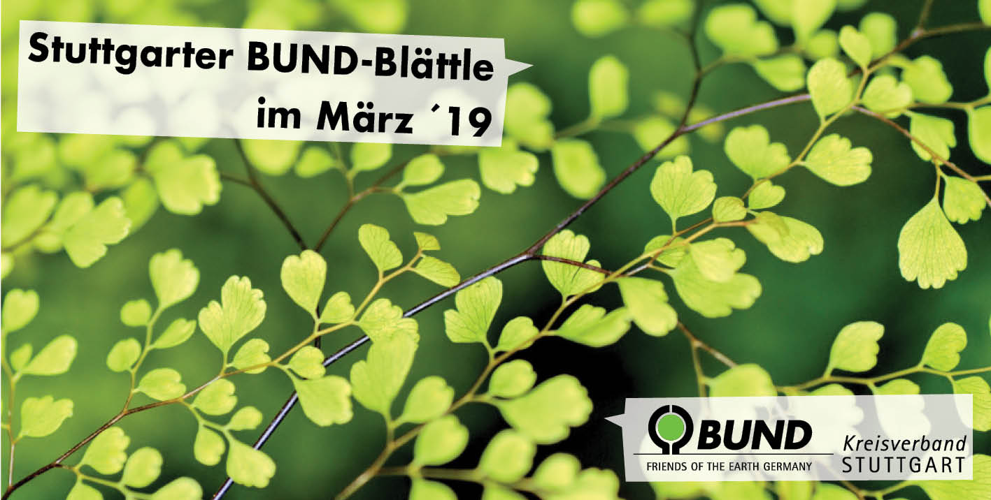 Stuttgarter BUND-Blättle März 2019 - BUND KV Stuttgart